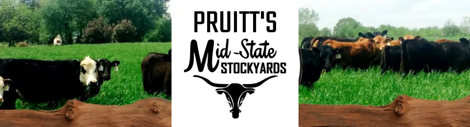 Pruitt's Mid-State Stockyards, LLC